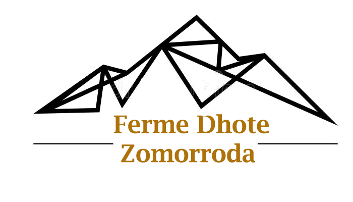 logo1